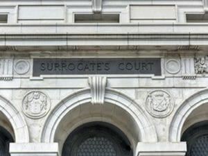 All About the Surrogate's Court by Tom Sciacca